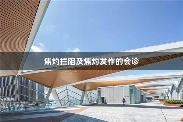 焦灼拦阻及焦灼发作的会诊