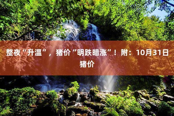 整夜“升温”，猪价“明跌暗涨”！附：10月31日猪价