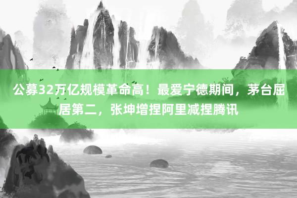 公募32万亿规模革命高！最爱宁德期间，茅台屈居第二，张坤增捏阿里减捏腾讯