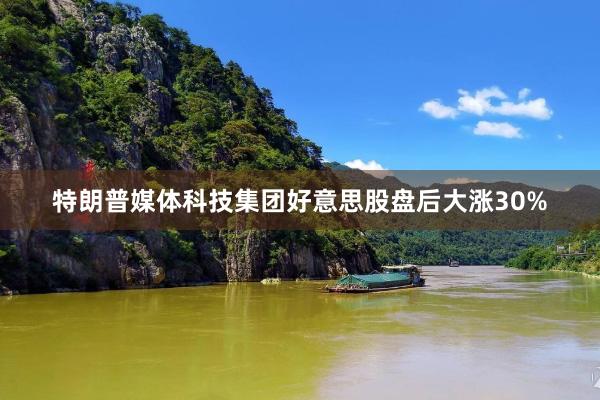 特朗普媒体科技集团好意思股盘后大涨30%
