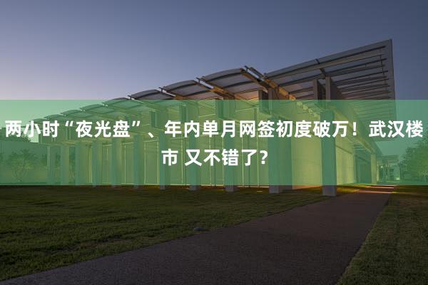 两小时“夜光盘”、年内单月网签初度破万！武汉楼市 又不错了？