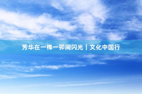 芳华在一榫一卯间闪光｜文化中国行