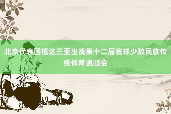北京代表团抵达三亚出战第十二届寰球少数民族传统体育通顺会