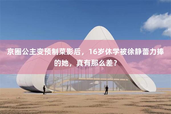 京圈公主变预制菜影后，16岁休学被徐静蕾力捧的她，真有那么差？