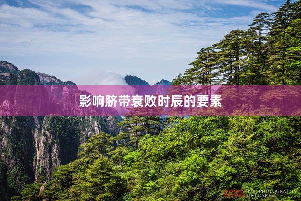 影响脐带衰败时辰的要素