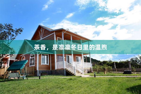 茶香，是凛凛冬日里的温煦