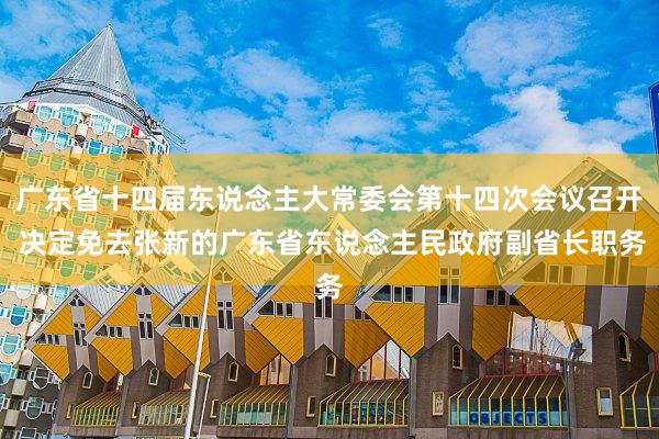 广东省十四届东说念主大常委会第十四次会议召开 决定免去张新的广东省东说念主民政府副省长职务
