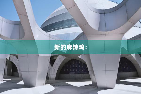 新的麻辣鸡：