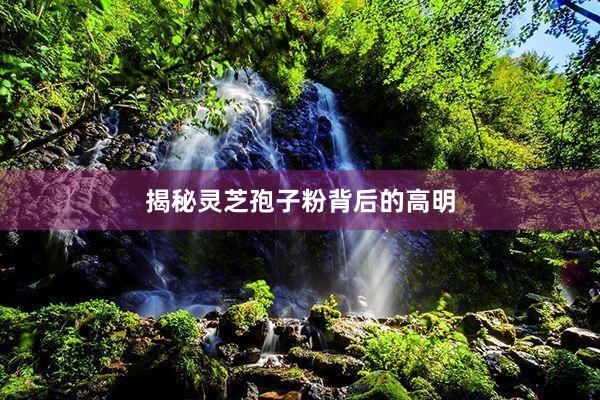 揭秘灵芝孢子粉背后的高明